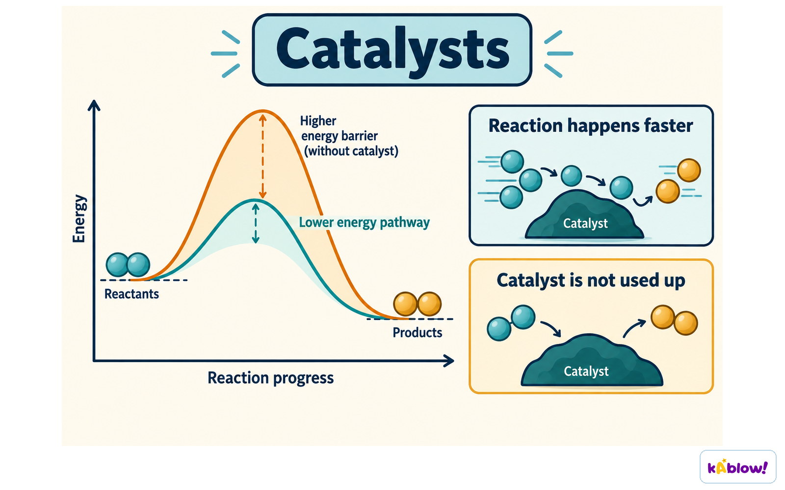 A catalyst provides a pathway with lower activation energy. It speeds up the reaction without being used up.