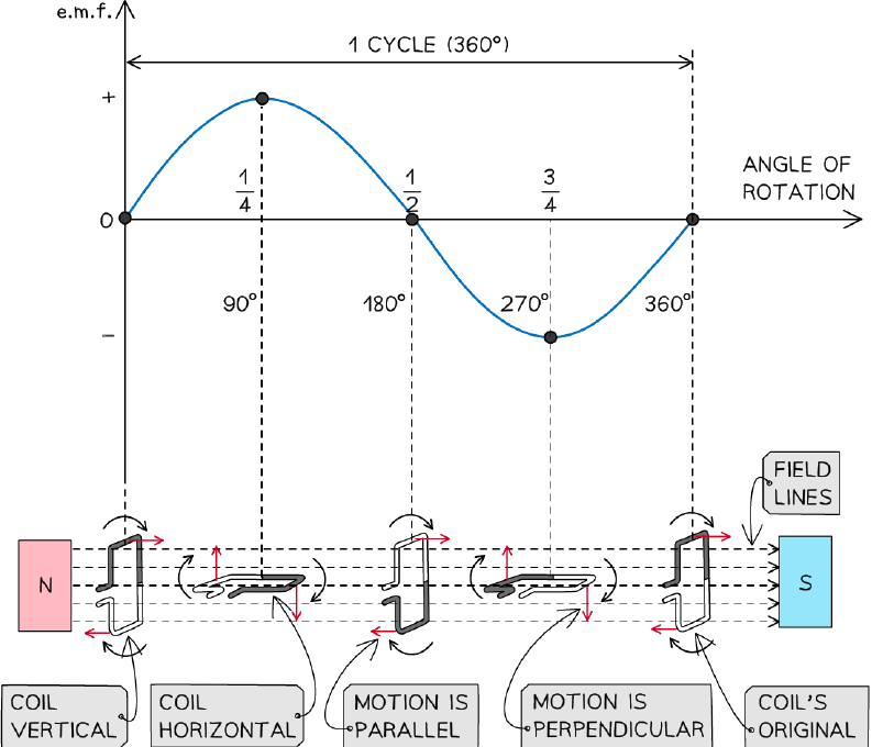 The relationship between the rotation of a coil in a magnetic field and the induced e.m.f. in an AC generator