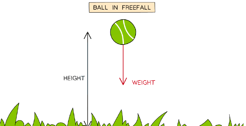 Ball in freefall illustrating height and weight